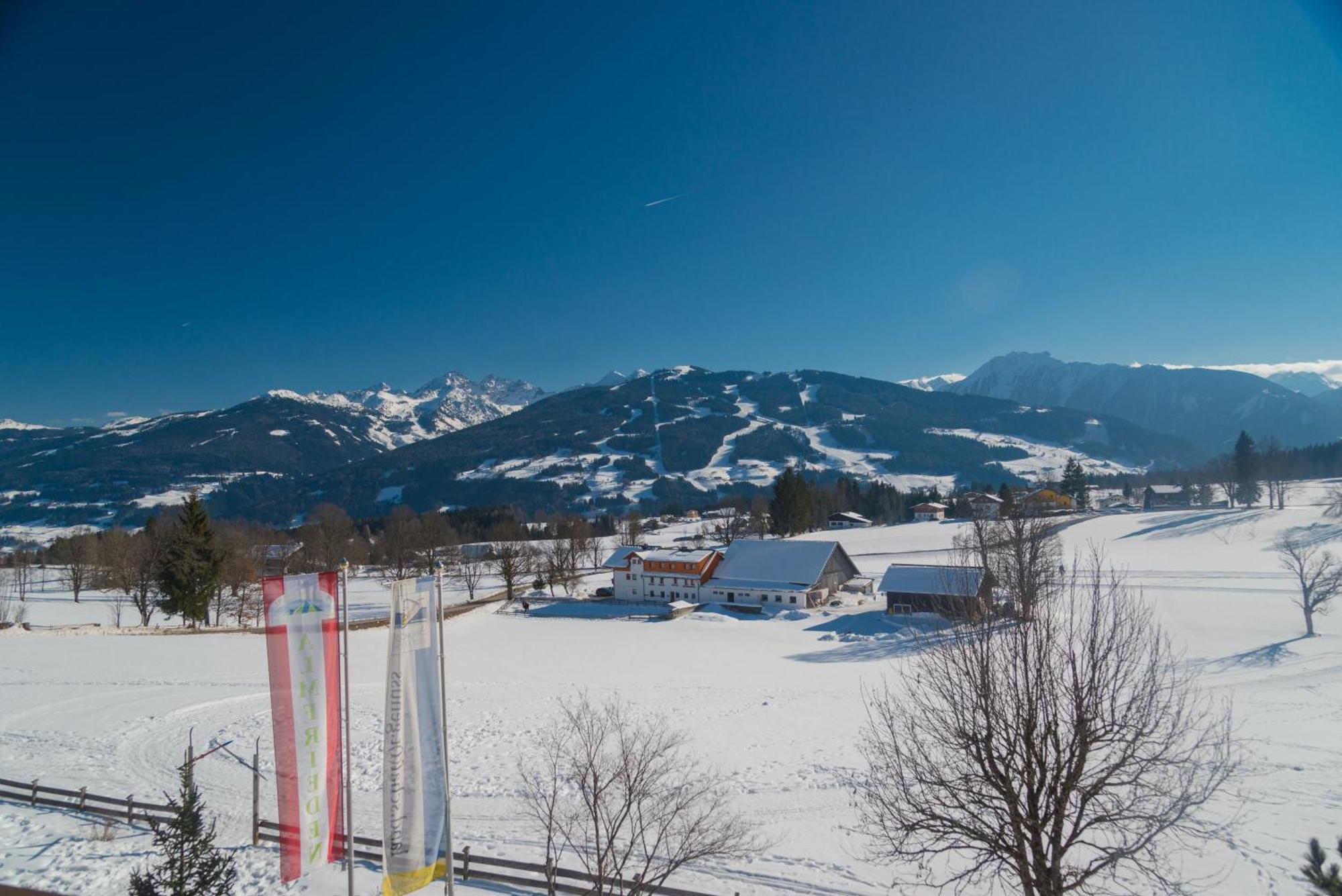 Almfrieden Hotel & Romantikchalet Рамзау ам Дахщайн Екстериор снимка